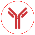 Diagnostics labs in Lahore