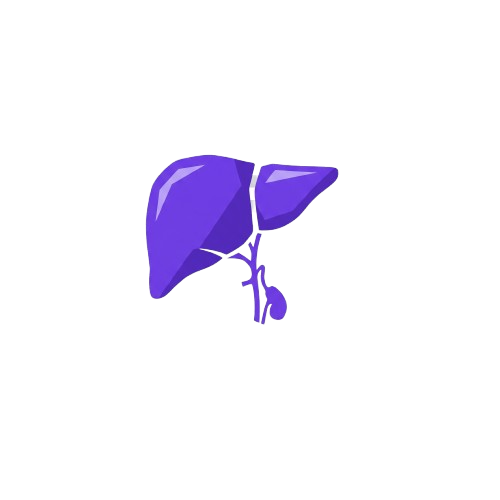 liver animated image
