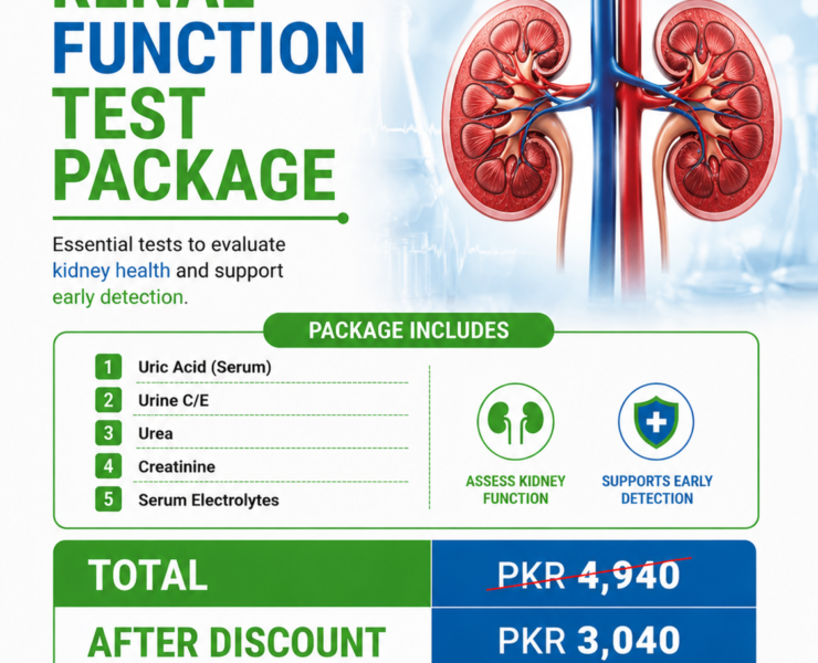 Renal Function Test
