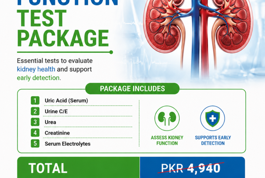 Renal Function Test